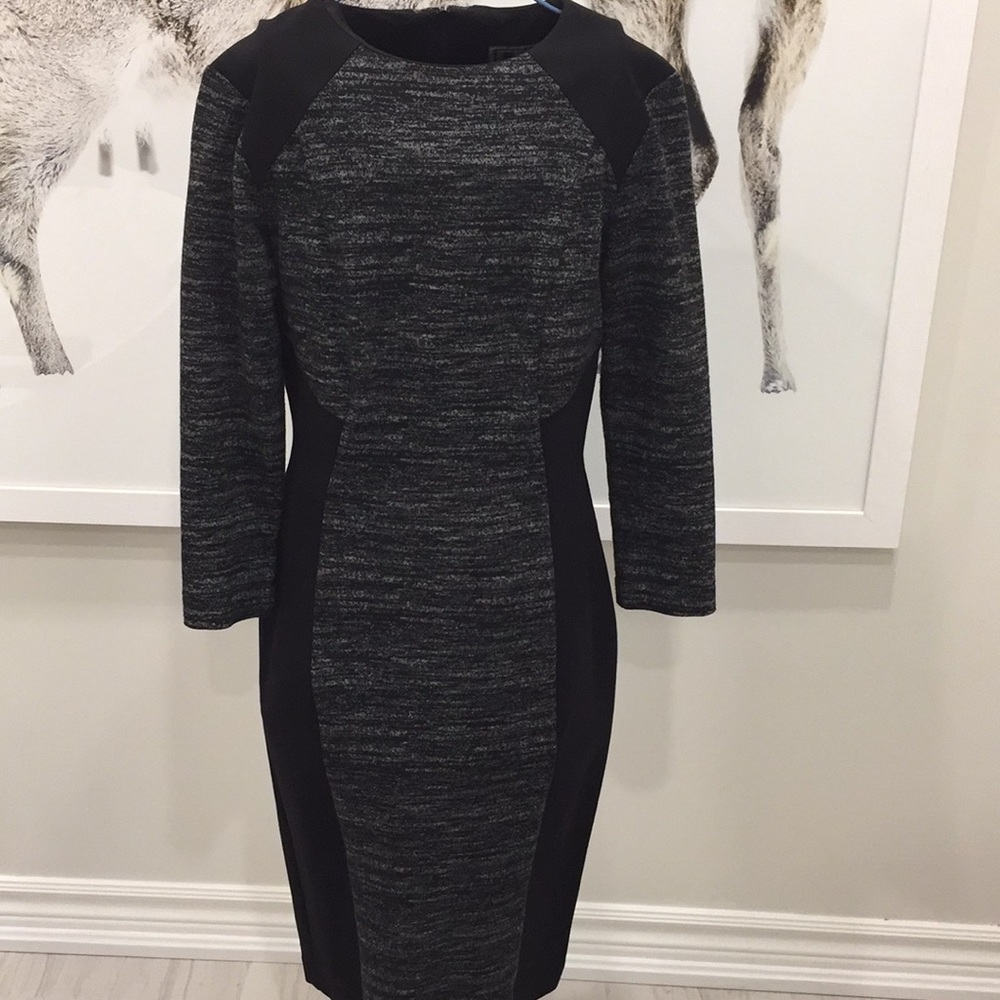 Mirabelli fitted dress